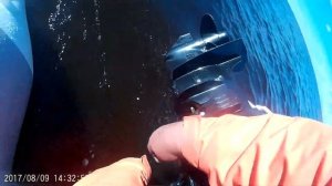 Тест скорости лодки Гидра 420  нового кроя 2017
