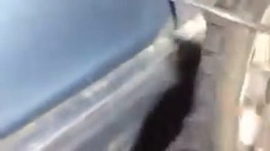 УСТАНОВКА КРЫЛЬЕВ ИЗ СТЕКЛОПЛАСТИКА НА АУДИ 80 Б3 Ч1