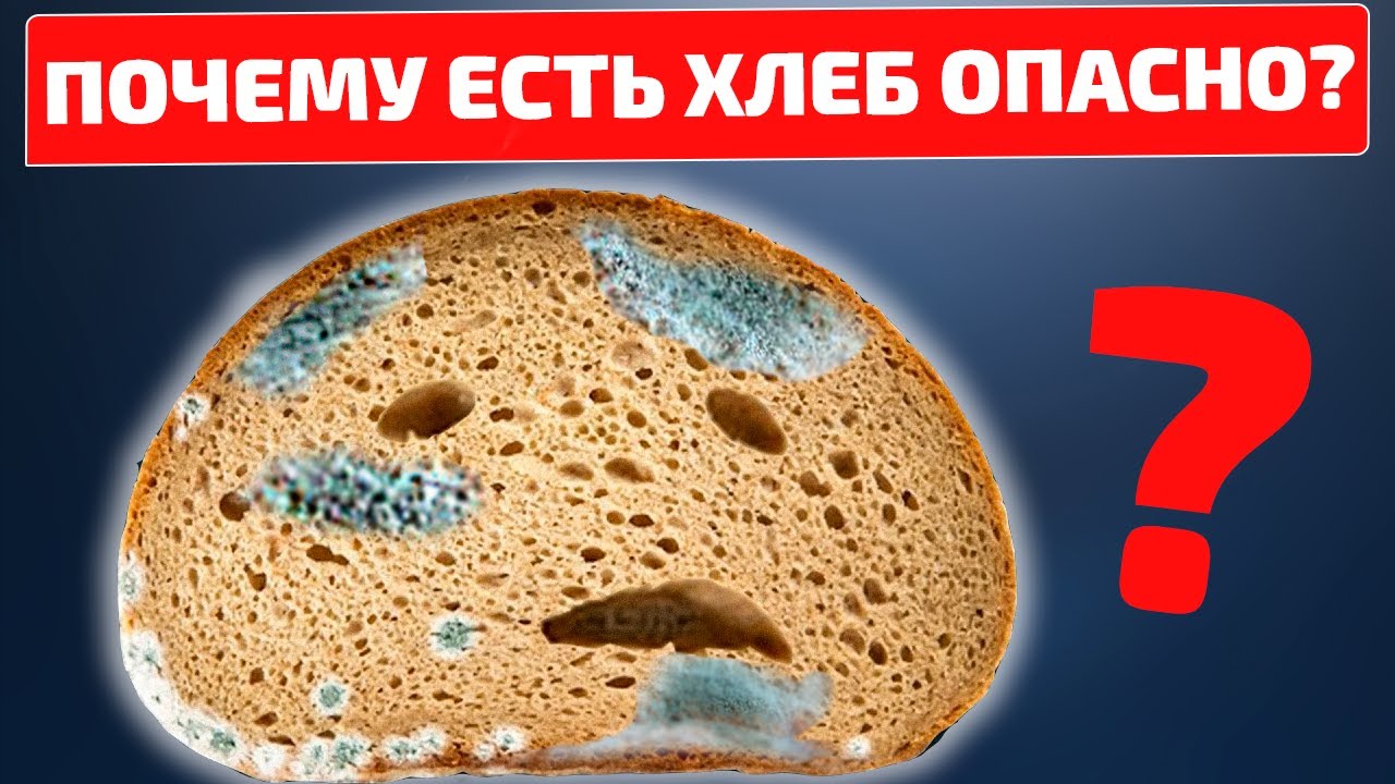 Чем вреден хлеб для организма. Опасный хлеб. белый хлеб вреден для здоровья. вреден хлеб для желудка почему.
