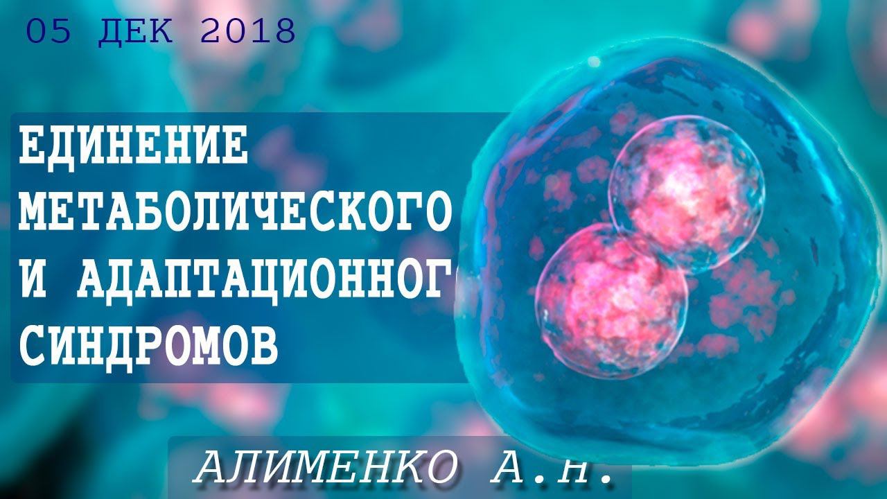 Единство адаптационного и метаболического синдромов. Алименко А.Н. (05.12.2018) смотреть онлайн