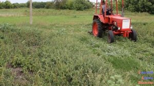 Трактор Т-25 и косилка КЗН Подкашиваем на корм (2019)
