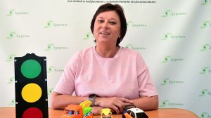 Видеолекция «Учим правила дорожного движения всей семьёй: советы родителям»