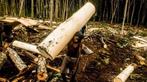 Восстановление "сендвича" рубки на шведской яхте Albin 57