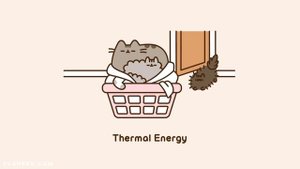 Pusheen: Physics With Your Cat