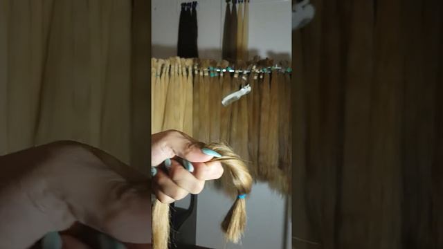 Подготовка среза к карсуляции . Вычесываем волосы от коротышей. смотреть онлайн