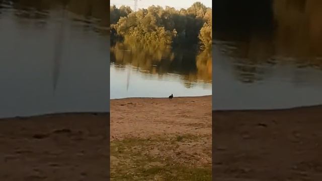 Озеро в парке леверкузена