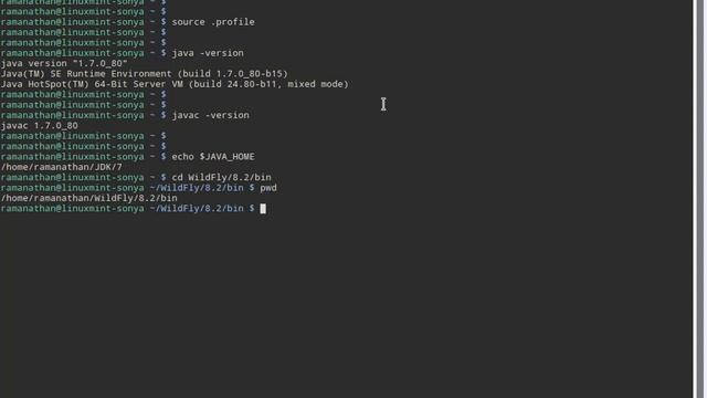 WildFly 8.2.1 Installation in Linux Mint 18 with Oracle JDK 7 (Java 7) смотреть онлайн