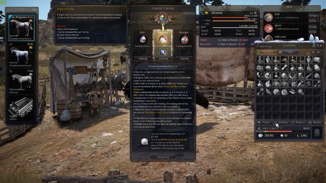 Black Desert Pegasus Awakening Attempt #63 смотреть онлайн