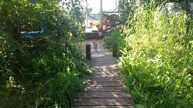 Малышня на прогулке смотреть онлайн