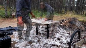 Первичная обработка оленьих шкур