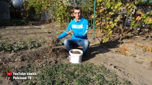 ЧТО ДЕЛАТЬ ЕСЛИ ПОЧВА КАК БЕТОН! КАК СДЕЛАТЬ ЕЁ РЫХЛОЙ И ПУШИСТОЙ