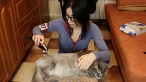 Как подстричь кота / Стрижка кошек дома / How to groom a cat / #LLChannel