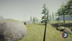 где водятся еноты в THE FOREST