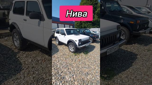 Авторынок. Нива
#нива #авторынок #цены #сегодня #автомобили #машина #2024 #автотур #ваз2121