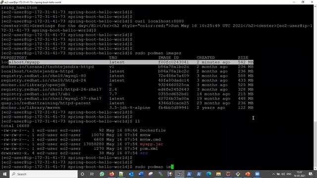 Saving and loading container/ docker images (OpenShift Containers & Kubernetes Part-11) RedHat Ex18