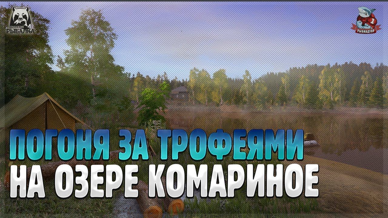 Закрываем трофеев на оз. Комариное #1. Русская рыбалка 4