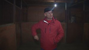 Коннозаводство Николая Скокова