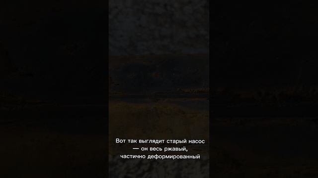 В приюте нет воды!