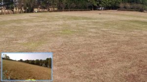 VRX RH903 Sword XXX N1: My first Nitro adventure.