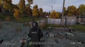 КАК ПРАВИЛЬНО ЛУТАТЬ ТИСЫ В DAYZ | DAYZ