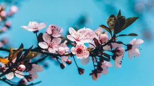 Музыка для медитации, спа или отдыха #2