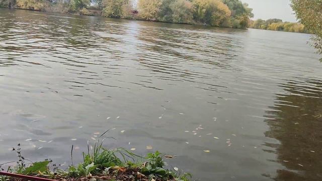 Мос. обл. Раменский район пос. Рыбаки 🎣🙋♂️👍🤝