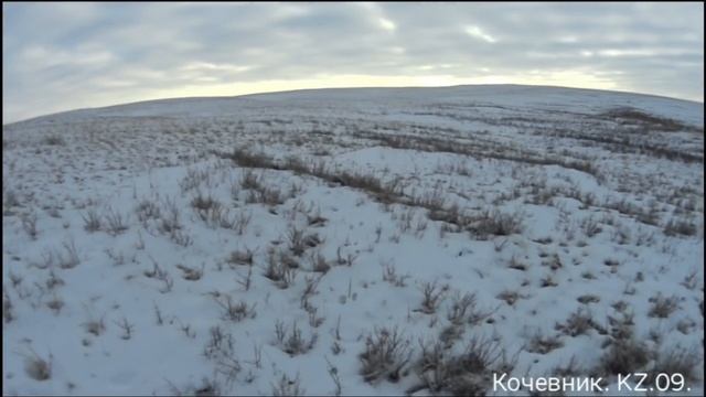 #Охота на зайца-русака. Сезон 2021-2022гг. "Лучшие моменты"- часть ~ 2 ... смотреть онлайн