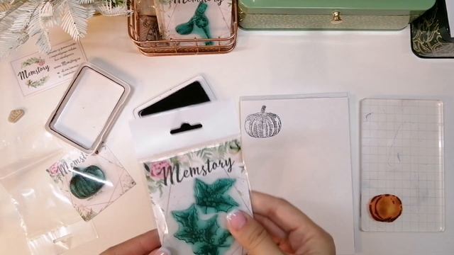 Обзор посылки из Memstory /Штампы / Система хранения / Скрапбукинг / Scrapbooking смотреть онлайн
