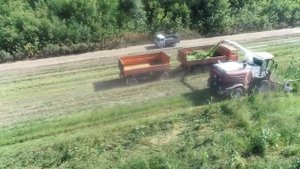 Комбайн кормоуборочный РСМ F2450 испытание на Алтайской МИС