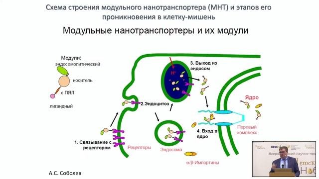 Нобелевские лауреаты в науках о радиации