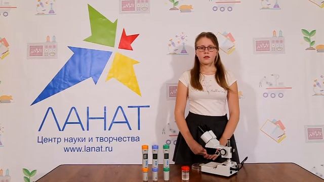 Изучение экологии водных животных смотреть онлайн