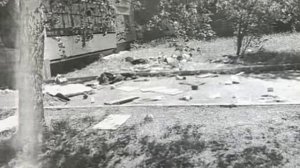 Выброс мусора из окна - запрещен