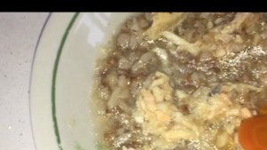 Щенки йорков*1 месяц 11 дней*Кушают сухой корм#йоркширскийтерьер