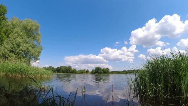 Рыбалка в жару на реке  Где лучше ловить рыбу. fishing