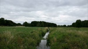 Есенин. Топи да болота... Стихи Сергея Есенина.