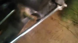 Honda Steed 400. Причина стука в двигателе. Knockin' clutch basket