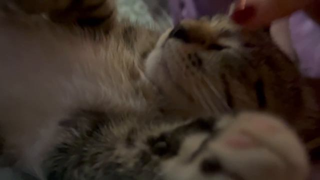 2_5424948486925736441.MOV