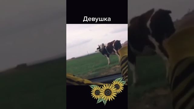 Как доеду посмотрю. Как доеду посмотрю