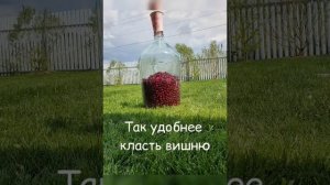 Рецепт вишнёвого вина