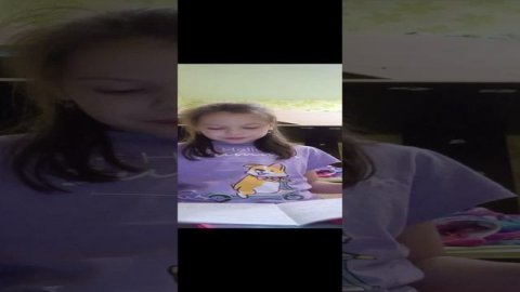 Дневник маленького видеоблогера