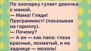 Гюльчатай, ОТКРОЙ личико??!! Уморительный анекдот дня.