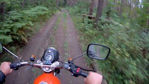В лесу на ИЖ ПЛАНЕТЕ СПОРТ