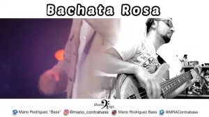 Bachata Rosa - Juan Luis Guerra (Bass Cover)