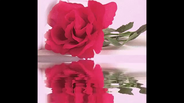 Улыбнись Человек!Не жалей невзгоды смотреть онлайн