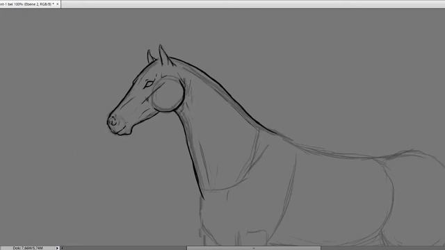 Horse Sketch Speed Art смотреть онлайн
