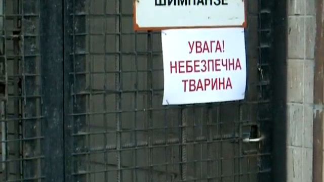 У животных тоже есть "домашние" питомцы (Who is the cat's owner ?) смотреть онлайн