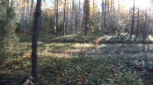 Землянка варнака.