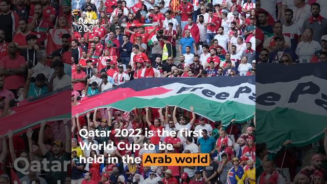 Palestinian solidarity at the World Cup in Qatar | Al Jazeera Newsfeed смотреть онлайн