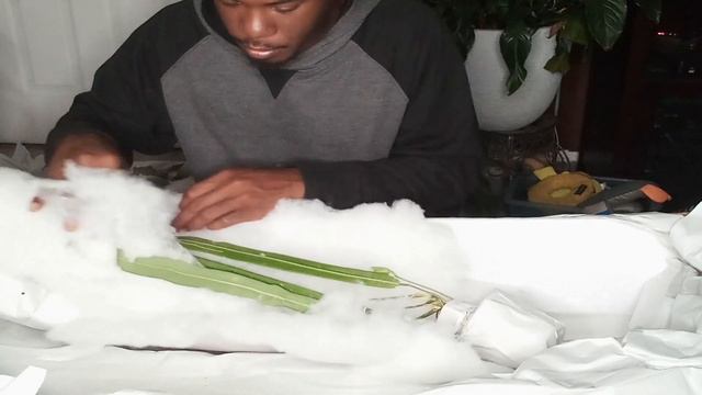 😲💚HUGE TROPICALS UNBOXING💚😲