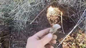 #металлопоиск вдоль реки, проверка нового #мд , #КОП #чермет и #цветмет